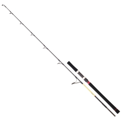 Daiwa Grandwave 199 cm Max 220 gr Jig Kamış - Daiwa