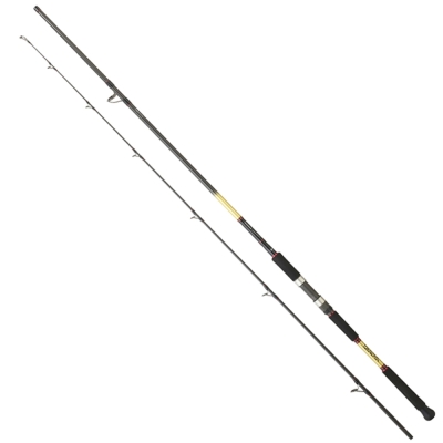 Daiwa Grandwave SJ 305 cm 60-120 gr Shore Jig Kamış - 1