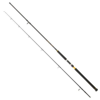 Daiwa Legalis CF 305 cm 60-120 gr Shore Jig Kamış - 1