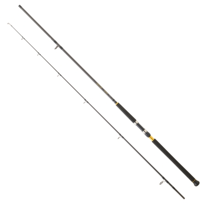 Daiwa Legalis CF 305 cm 60-120 gr Shore Jig Kamış - 3