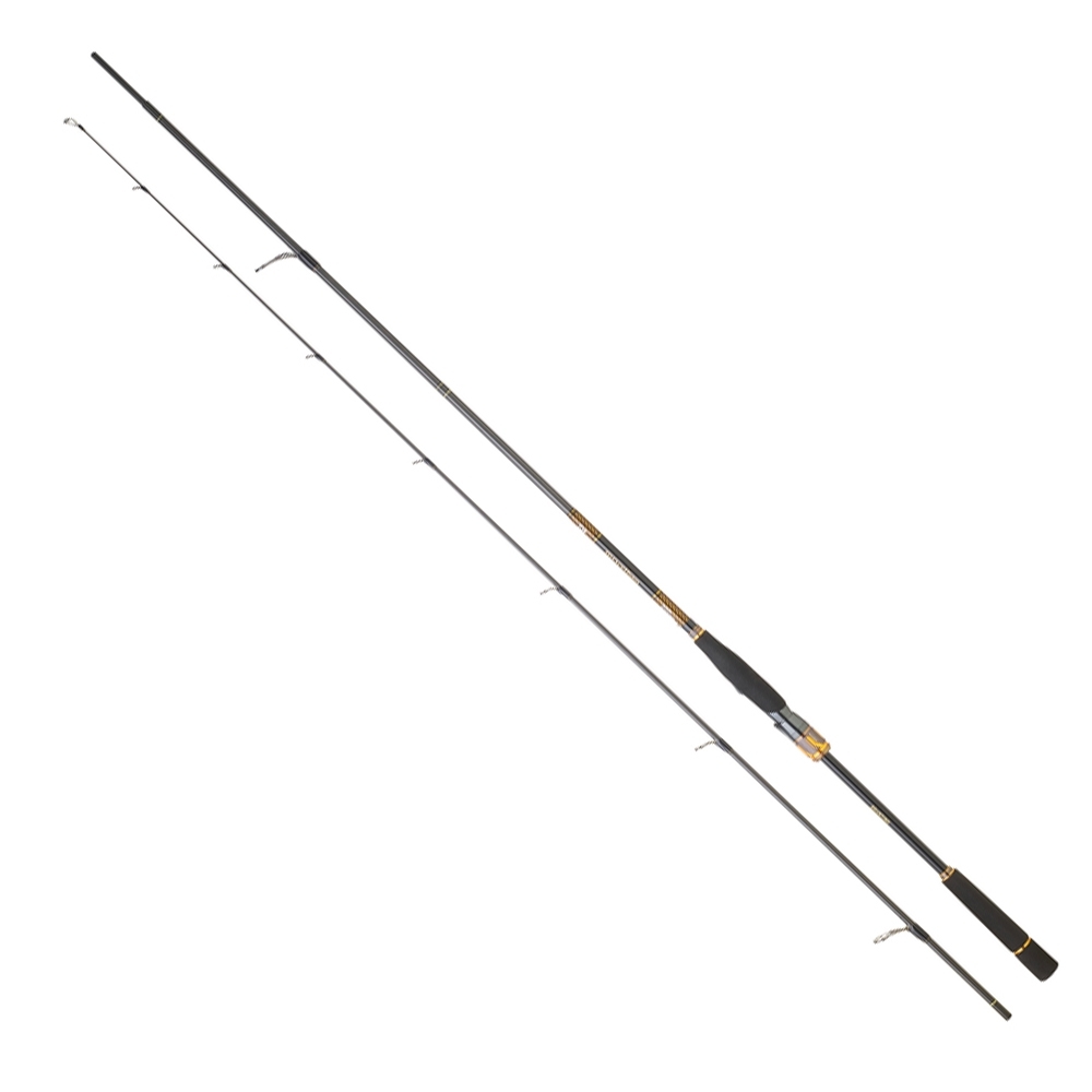 daiwa-morethan-branzino-expert