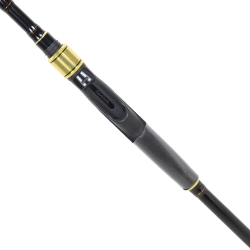 Daiwa RS 225 cm 10-35 gr Spin Kamış - 3