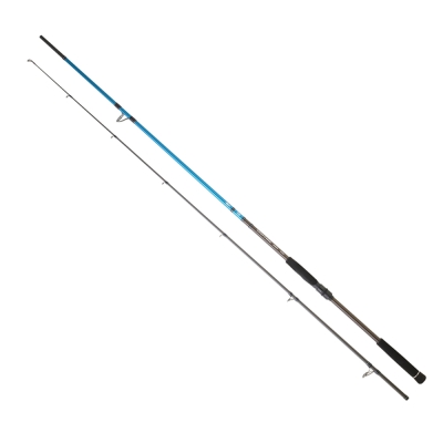 Daiwa Spitfire Seabass CF 305 cm 28-84 gr Shore Jig Kamış - 1