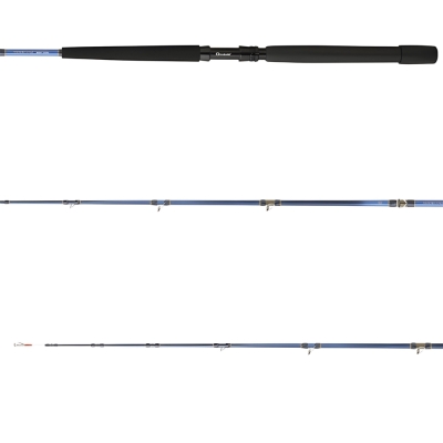 Daiwa Tanacom 200 cm 250-1000 gr Bot Kamış - 2
