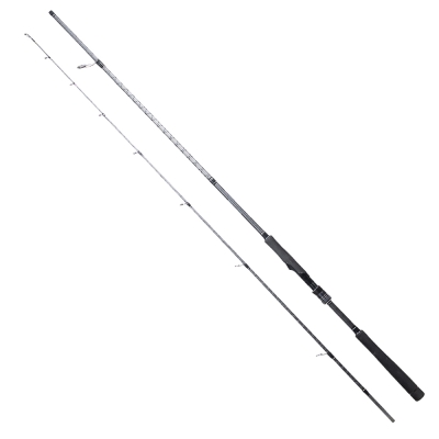 Ryuji Ares X 240 cm 9-45 gr Spin Kamış - 1