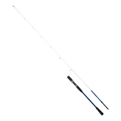 Ryuji Big Game Fuji 203 cm 60-140 gr Jig Kamış - Ryuji