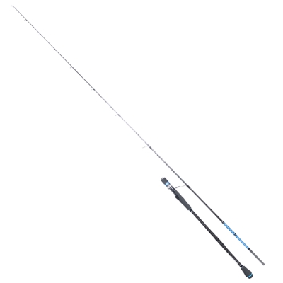 Ryuji Seahunter Fuji 206 cm 80-300 gr Jig Kamş - 1