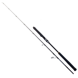 Ryuji Seawolf 168 cm 150-250 gr Jig Kamış - Ryuji
