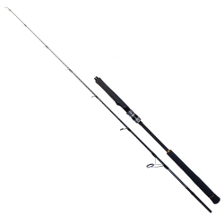 Ryuji Seawolf 180 cm 400-800 gr Jig Kamış - Ryuji