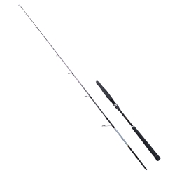 Ryuji Seawolf Plus Fuji 198 cm 150-250 gr Jig Kamış - Ryuji