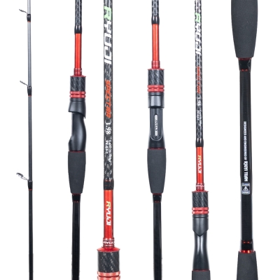 Ryuji Spectra SP 198 cm 70-300 gr Bot Kamış - 2