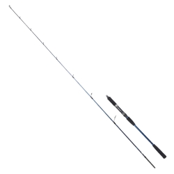 Ryuji Strobe 198 cm 20-80 gr Jig Kamış - Ryuji
