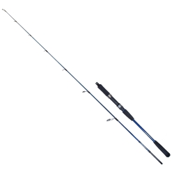 Ryuji Strobe II 168 cm 40-110 gr Jig Kamış - Ryuji