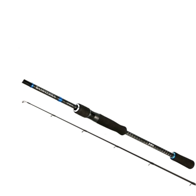 Shimano Bassterra Seabass 289 cm 15-60 gr Spin Kamış - 1