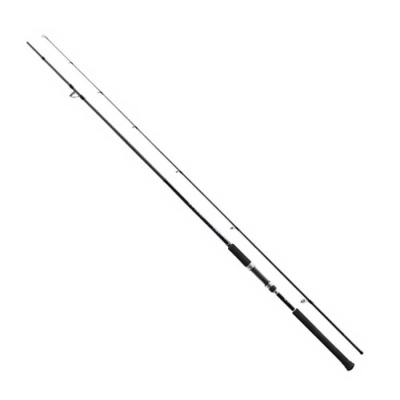 Shimano Salty Advance 305 cm Max 80 gr Shore Jig Kamış - 1